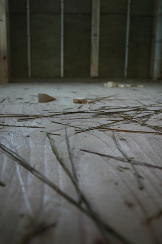 「たたみハウスの床にはいたるところに藁がこぼれる」畳ハウスの施工事例写真