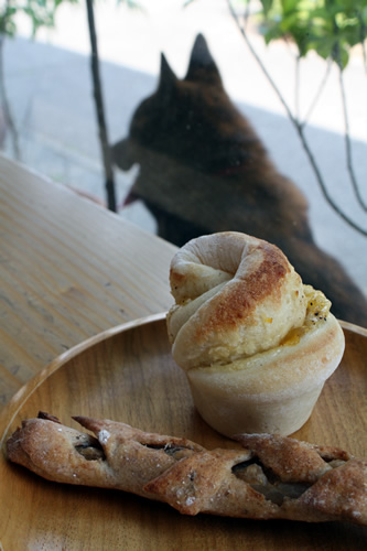 たたみハウスの住人より