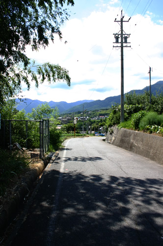 「たたみハウスの壁」畳ハウスの施工事例写真