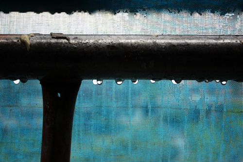 「ザ・たたみハウスの塗り壁」畳ハウスの施工事例写真