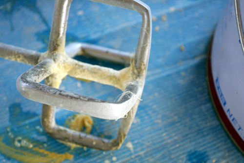 「ザ・たたみハウスの塗り壁」畳ハウスの施工事例写真